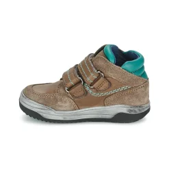 Best Acebo's - ACERA Taupe