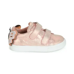 Acebo's - BAMBU Rose