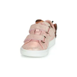 Acebo's - BAMBU Rose