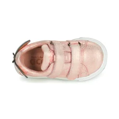 Acebo's - BAMBU Rose