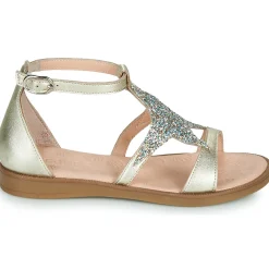 Acebo's - 9895GE-PLATINO-C