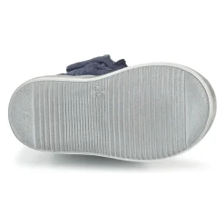 New Acebo's - MOULLY Bleu