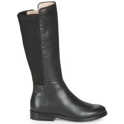 Acebo's - 9864-NEGRO-T Noir Online