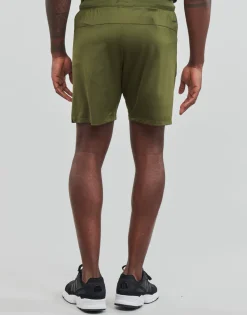 Online adidas Performance - 4K 3 BAR SHORT focusolive