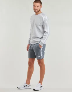 New adidas Performance - Tiro 23 League Sweat Shorts Gris