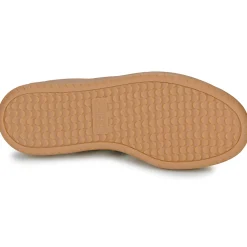 Adidas Sportswear - BARREDA