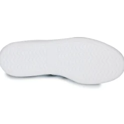 Adidas Sportswear - BARREDA Online