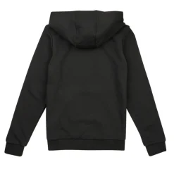 Hot Adidas Sportswear - BL HOODIE Noir