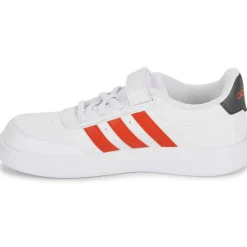 Adidas Sportswear - BREAKNET 2.0 EL C New