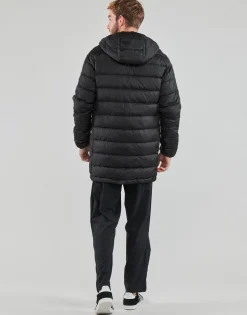 Adidas Sportswear - ESS 3S L D H PA Hot