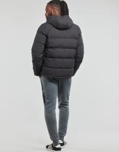 Adidas Sportswear - HELIONIC HO JKT