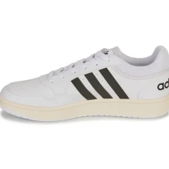 Adidas Sportswear - HOOPS 3.0