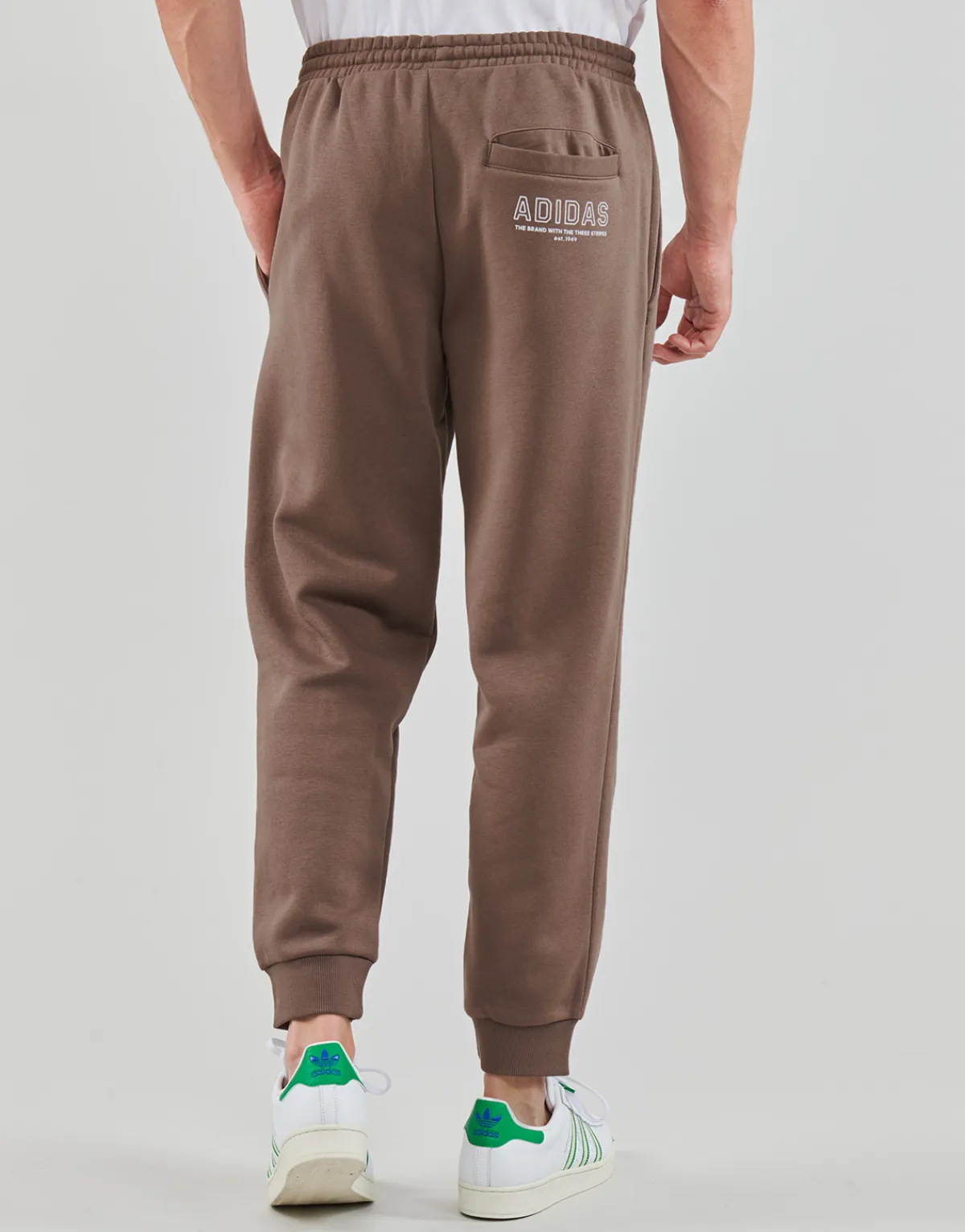 Sale Adidas Sportswear - PANTS EARSTR Marron