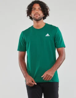 Adidas Sportswear - SL SJ T Vert