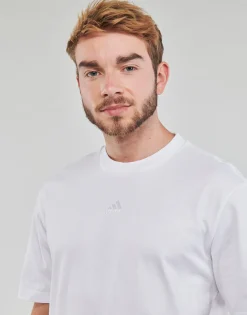 Adidas Sportswear - TEE WHITE Blanc Online