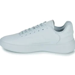 Adidas Sportswear - ZNTASY