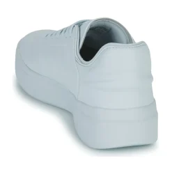 Adidas Sportswear - ZNTASY