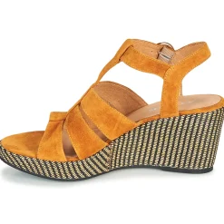 Adige - FLORY V4 UNDER SAFRAN