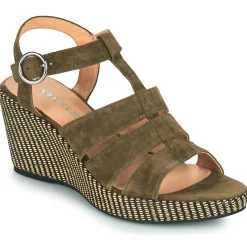 Adige - FLORY V5 VELOURS MILITAIRE Kaki New