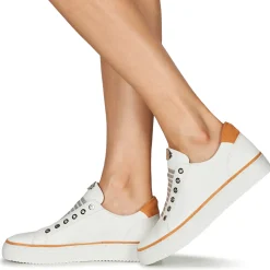 Adige - QUANTON4 V8 Blanc Online