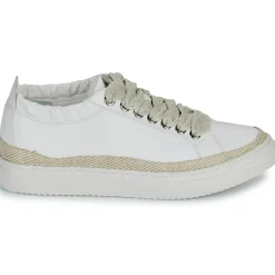 New Adige - QUINCY Blanc