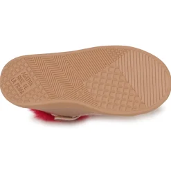 Agatha Ruiz de la Prada - BETTYL Rose Best