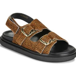 ALOHAS - HARPER SOFT