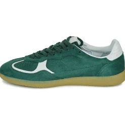 Discount ALOHAS - Tb.490 Vert