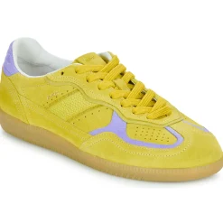 ALOHAS - Tb.490 Jaune New