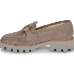 Ara - OXFORD Taupe Outlet