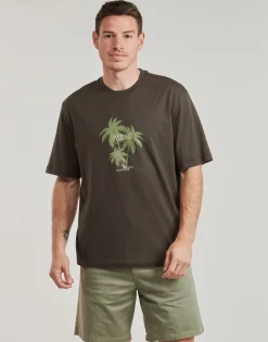 Online Armani Exchange - XM000772 Kaki