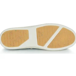 Sale Armistice - NOVO ONE