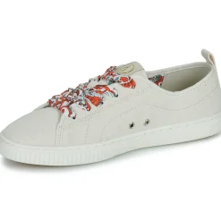 Armistice - NOVO ONE Clearance