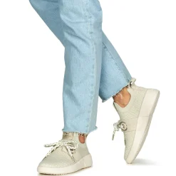 Armistice - VOLT ONE Best