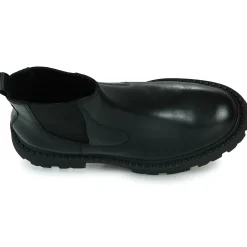 Ash - GENESIS Noir Best