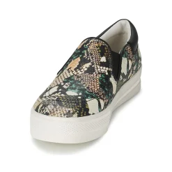 Sale Ash - JAM Python