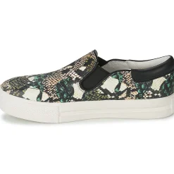 Sale Ash - JAM Python