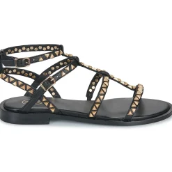 Ash - PANDORA Noir Online