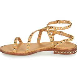 Ash - PETRA Marron Clearance