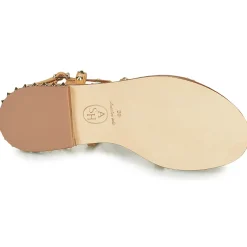 Ash - PETRA Marron Clearance