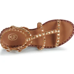 Ash - PRECIOUS Camel Sale