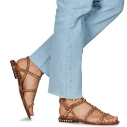 Ash - PRECIOUS Camel Sale