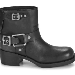 Ash - TEXAS Noir New