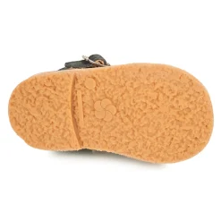 Aster - BIMBO Marine Discount