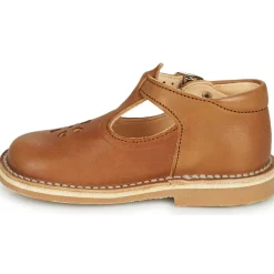 Aster - BIMBO Cognac Outlet