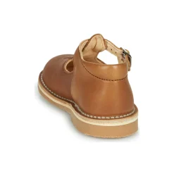 Aster - BIMBO Cognac Outlet