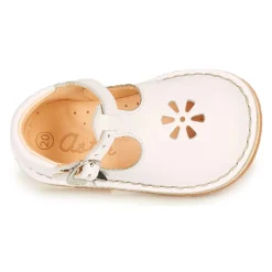 Aster - BIMBO Blanc Outlet