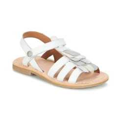 Best Aster - CORELLE Blanc