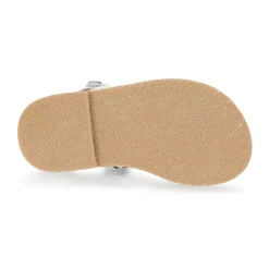 Best Aster - CORELLE Blanc