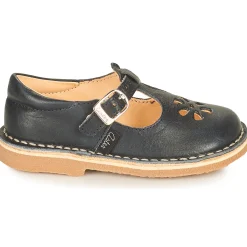 Best Aster - DINGO Marine